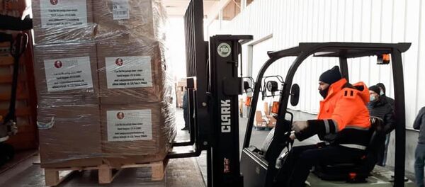 Пятый самолет с гуманитарным грузом из Франции прибыл в Армению (5 января 2021). Еревaн - Sputnik Արմենիա