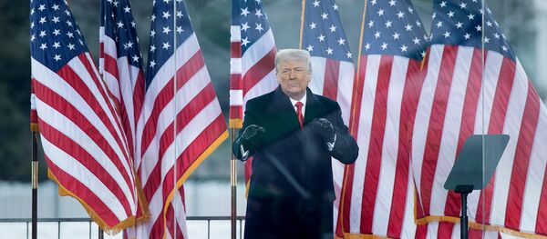 Действующий президент США Дональд Трамп выступает перед сторонниками возле Белого дома (6 января 2021). Вашингтон - Sputnik Армения