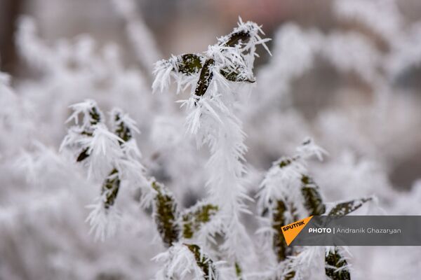 Старый Новый год 2021: суть и обычаи праздника - Sputnik Армения