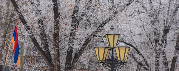 Покрытые инеем деревья - Sputnik Армения