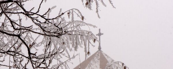 Покрытое инеем дерево у собора Святого Григора Лусаворича Покрытое инеем дерево у собора Святого Григора Лусаворича - Sputnik Армения
