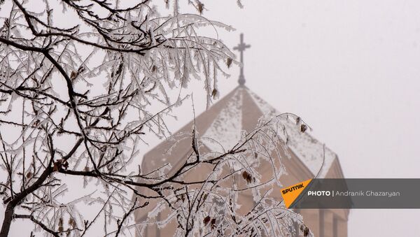 Покрытое инеем дерево у собора Святого Григора Лусаворича - Sputnik Армения
