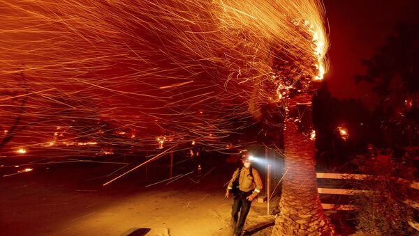 Пожарный проходит мимо горящего дерева во время тушения пожара в общине Сильверадо в Калифорнии - Sputnik Армения