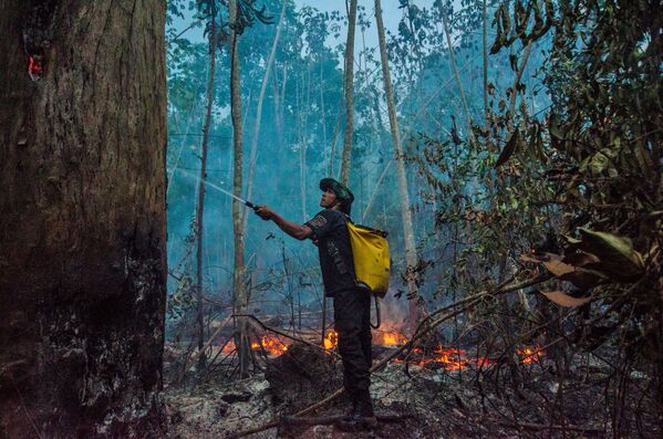 Тушение лесных пожаров в Бразилии - Sputnik Армения