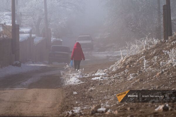 Житель села Тигранашен идет по сельской дороге (11 января 2021). Араратская область - Sputnik Армения