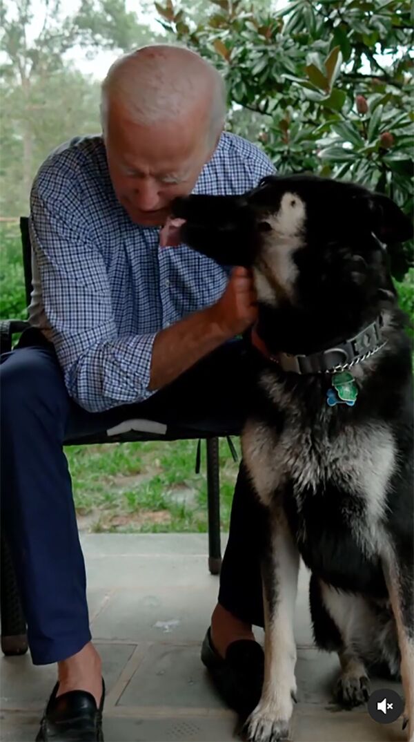 Избранный президент США Джо Байден со своей собакой по кличке Мейджор - Sputnik Армения