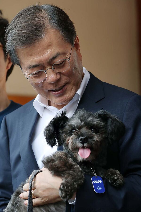 Կորեայի նախագահ Մուն Չժե Ինը իր շան հետ - Sputnik Արմենիա