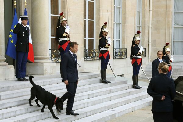 Президент Франции Эммануэль Макрон  выходит из Елисейского дворца в Париже в сопровождении собаки по имени Немо - Sputnik Армения