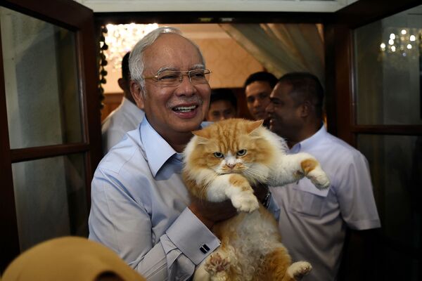 Премьер-министр Малайзии Наджиб Разак позирует со своей кошкой Кики в своей резиденции в Куала-Лумпуре - Sputnik Армения