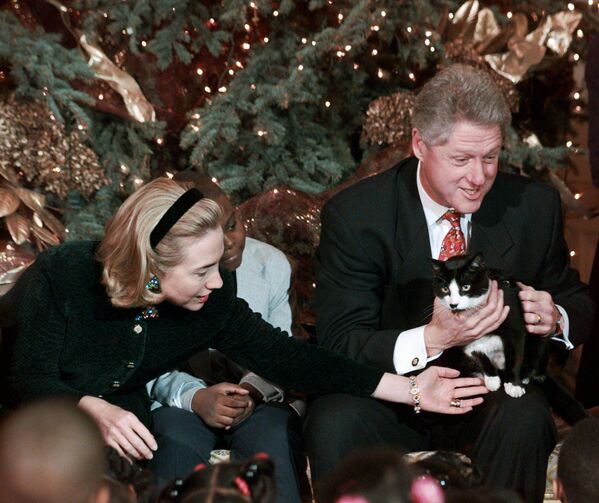 Билл Клинтон и его жена с кошкой Сокс в Белом доме, 1996 год - Sputnik Армения
