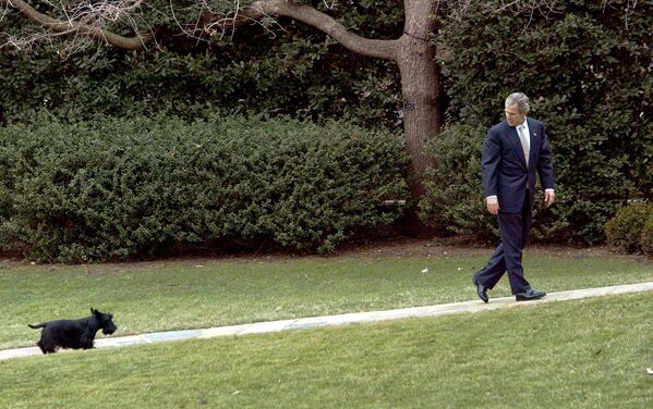 Джордж Буш со своей собакой Барни в Белом доме, 2003 год - Sputnik Армения