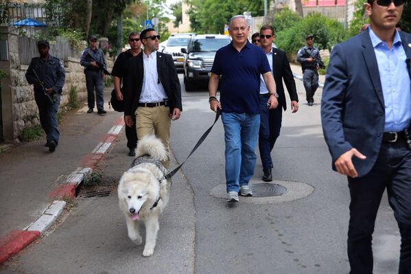 Премьер-министр Израиля Биньямин Нетаньяху со своей собакой по кличке Кайя - Sputnik Армения