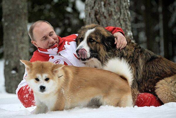 Վլադիմիր Պուտինն իր ընտանի կենդանիների հետ - Sputnik Արմենիա