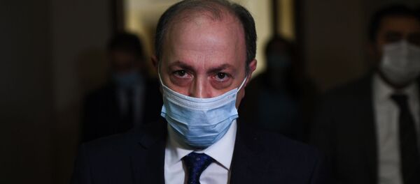 Глава МИД Армении Ара Айвазян перед заседанием Парламента (14 января 2021). Еревaн - Sputnik Արմենիա