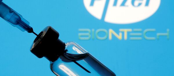 Шпиц и флакон на фоне логотипов компаний Pfizer и Biontech  - Sputnik Արմենիա