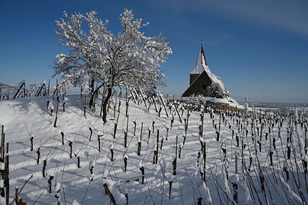 Церковь Сен-Жак-Ле-Мажор и заснеженный виноградник в Хунавире, восточная Франция - Sputnik Армения