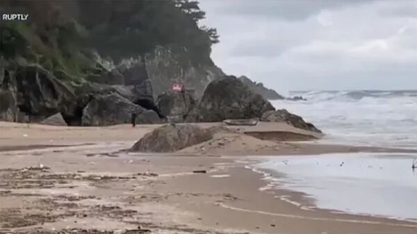 Крушение сухогруза у берегов Турции: четверо погибли, шестерых спасли Крушение сухогруза у берегов Турции: четверо погибли, шестерых спасли - Sputnik Армения