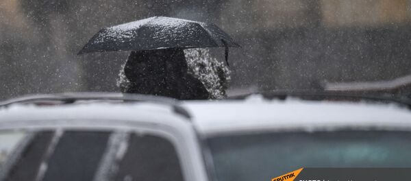 Снегопад в столице (19 января 2021). Еревaн - Sputnik Արմենիա