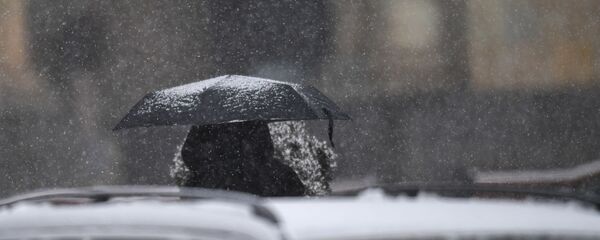 Снегопад в столице (19 января 2021). Еревaн - Sputnik Արմենիա