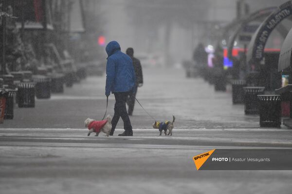 Ձյան փաթիլների տակ տղամարդը զբոսանքի է հանել իր շներին. Երևան - Sputnik Արմենիա