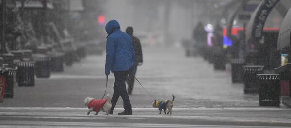 Снегопад в столице (19 января 2021). Еревaн Снегопад в столице (19 января 2021). Еревaн - Sputnik Արմենիա