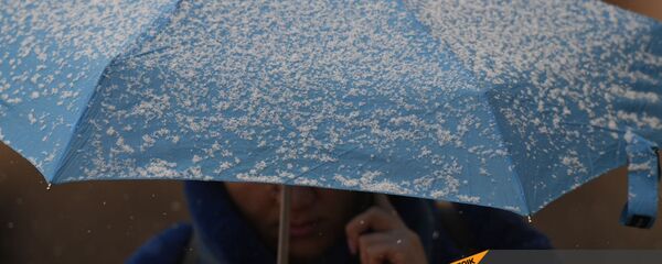 Снегопад в столице (19 января 2021). Еревaн - Sputnik Армения