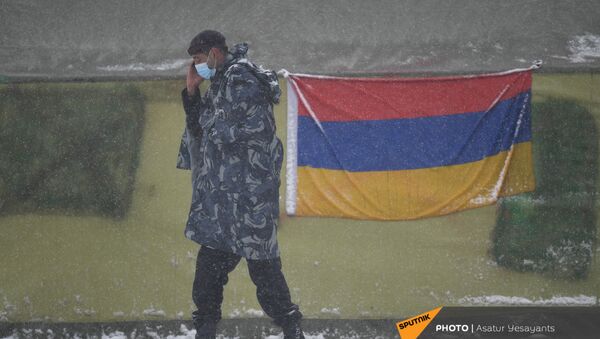 Снегопад в столице (19 января 2021). Еревaн - Sputnik Армения