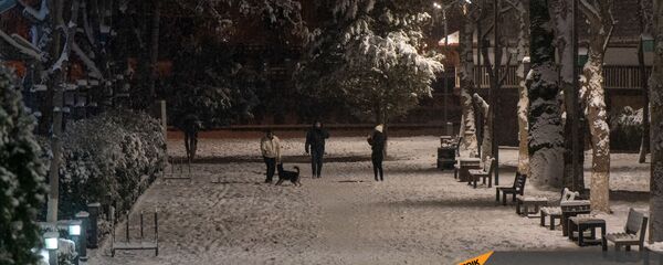 Горожане гуляют в парке в зимний вечер Горожане гуляют в парке в зимний вечер - Sputnik Армения