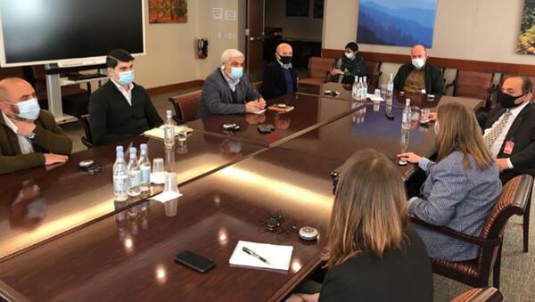Посол США в Армении Линн Трейси встретилась с группой экспертов аналитического центра (21 января 2021). Еревaн - Sputnik Армения