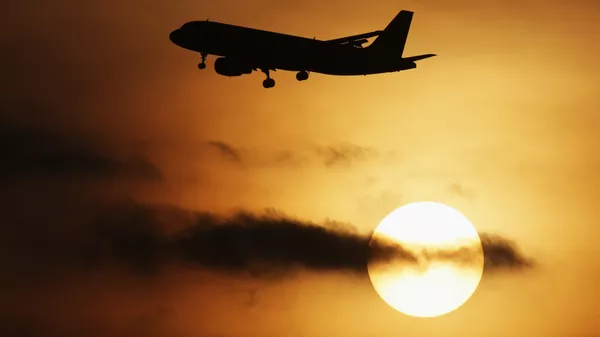 Самолет Airbus-320 в аэропорту Домодедово - Sputnik Армения