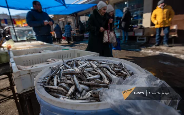 Точка продажи рыбы в Лачинском рынке в Ванадзоре Точка продажи рыбы в Лачинском рынке в Ванадзоре - Sputnik Армения