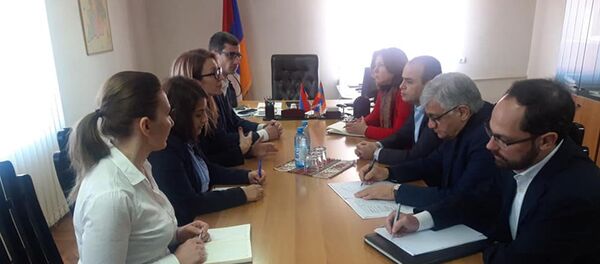 Министр трудоустройства и социальных вопросов НКР Мане Тандилян приняла делегацию из Армении (23 января 2021). Степанакерт - Sputnik Արմենիա