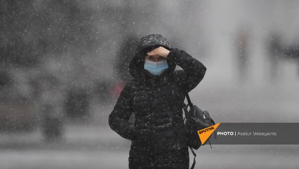 Снегопад в столице (19 января 2021). Еревaн - Sputnik Армения