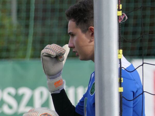 Սուքիասյանները նվաճում են Ավստրիան. Երվանդը լավագույն հարձակվող է, Դավիթը` դարպասապահ - Sputnik Արմենիա