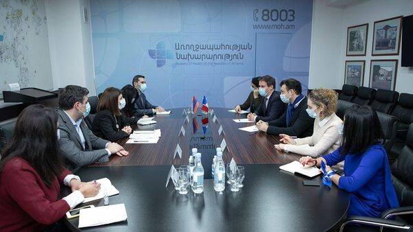 Министр здравоохранения Анаит Аванесян на встрече с послом Франции Джонатаном Лакотом (25 января 2021). Еревaн - Sputnik Армения