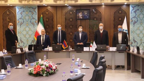 Делегация во главе с министром экономики Ваганом Керобяном на встрече с представителями деловых кругов Ирана (25 января 2021). Исфахан - Sputnik Армения