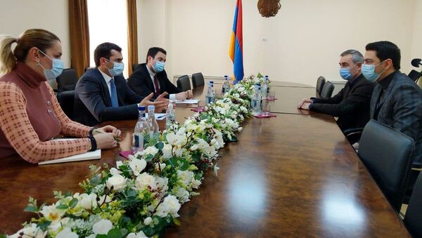 Министр ВТП Акоп Аршакян встретился с руководящим составом союза работодателей ИКТ (26 января 2021). Еревaн - Sputnik Արմենիա