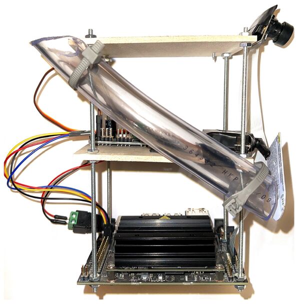 Искусственный интеллект научился дрессировать собак - Sputnik Армения