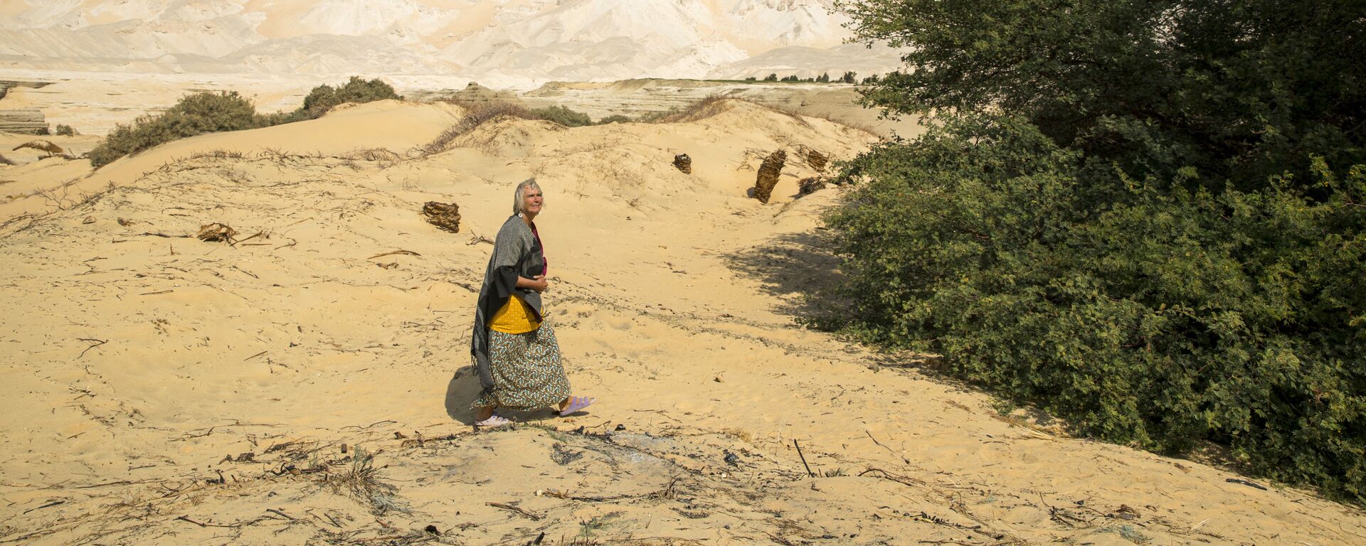 72-летняя немка Фридель Браун во дворе своего дома в Бир-эль-Джабале недалеко от оазиса в пустыне Дахла, Египет - Sputnik Армения, 1920, 17.02.2021
