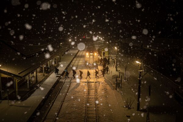 Снимок The Last Winter фотографа Yukihito Ono, победивший в номинации National Awards (Япония) конкурса 2021 Sony World Photography Awards  - Sputnik Армения