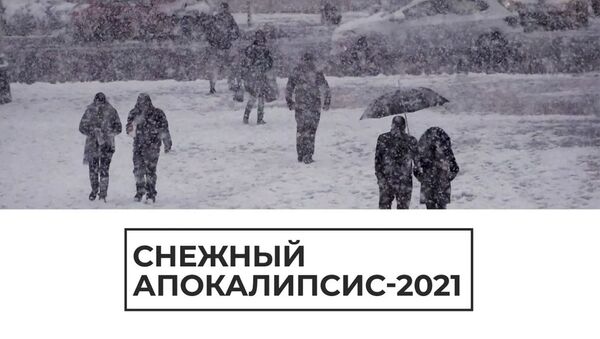 Снежный апокалипсис 2021 - Sputnik Армения