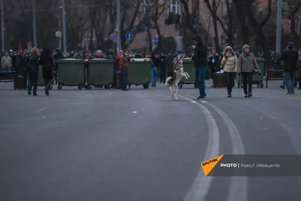 Сторонники оппозиции на проспекте Баграмяна у здания Национального собрания Армении (25 февраля 2021). Еревaн Сторонники оппозиции на проспекте Баграмяна у здания Национального собрания Армении (25 февраля 2021). Еревaн - Sputnik Армения