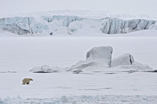 Белый медведь на льдине в Северном ледовитом океане - Sputnik Армения