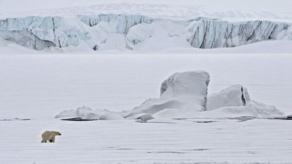 Белый медведь на льдине в Северном ледовитом океане - Sputnik Армения