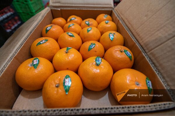Пакистанские мандарины на овощном рынке в Ереване - Sputnik Армения