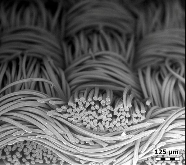 Волокна маски из полиэстера под микроскопом - Sputnik Армения