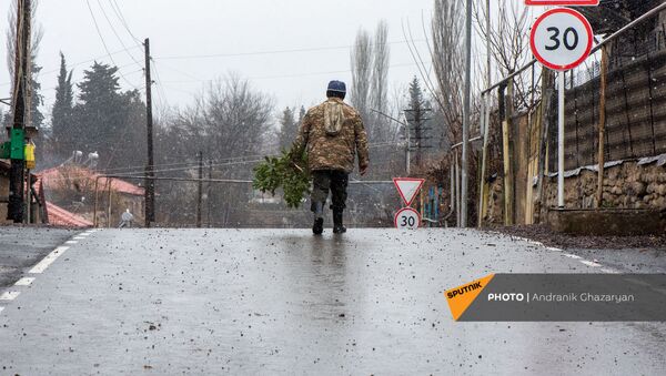 Мужчина с рассадой на отремонтированной дороге в селе Айгепар - Sputnik Армения