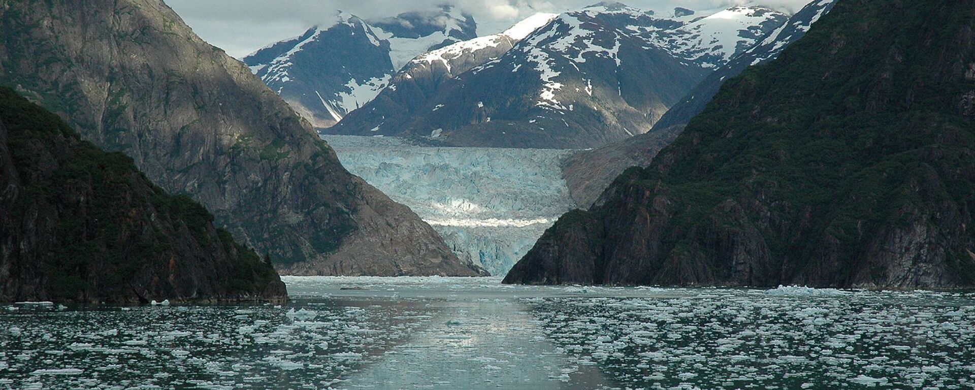 Трейси Арм фьорд, ледник Сойер, Аляска - Sputnik Армения, 1920, 29.03.2021
