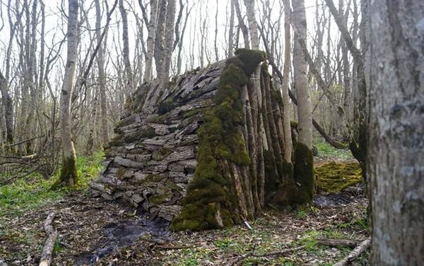 Домик в лесу, изготовленный Арутюном Акопяном - Sputnik Армения