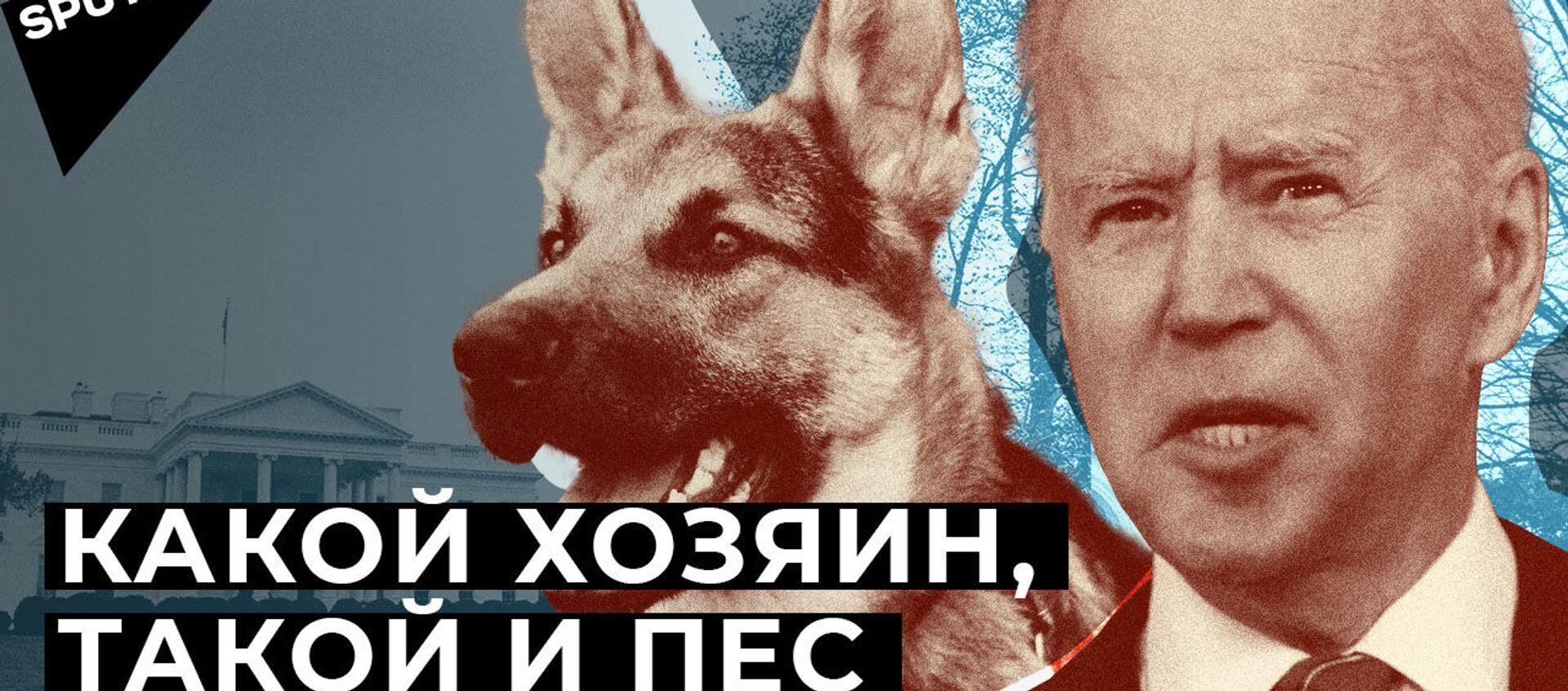 Собака Джо Байдена терроризирует сотрудников Белого дома - Sputnik Армения, 1920, 06.04.2021
